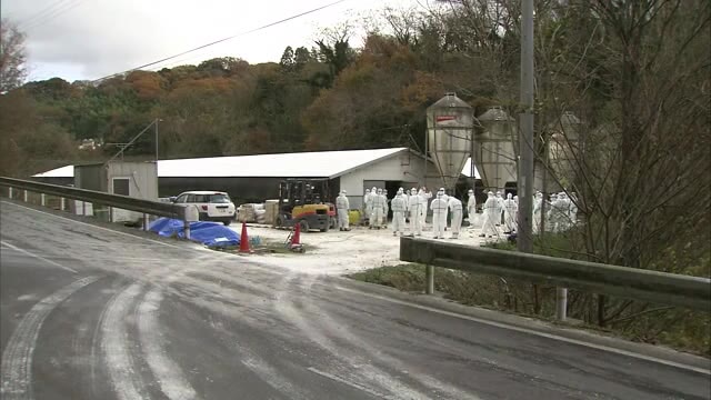 止まらぬ殺処分…またしても三豊市の養鶏場で鳥インフルエンザ発生【香川・三豊市】