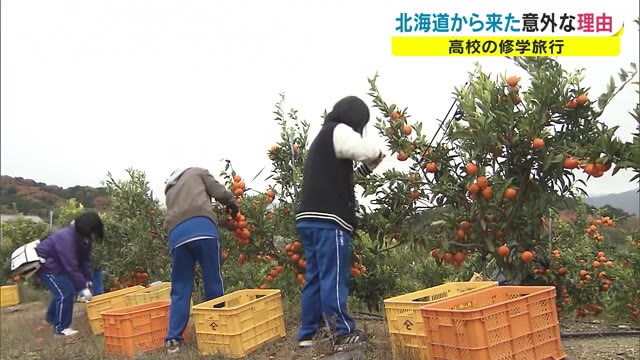 ルーツが同じ姉妹都市…北海道の高校生が実習体験で観音寺市へ【香川・観音寺市】