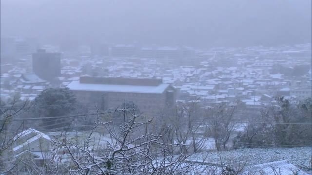 津山市で今シーズン初めての積雪…気象台が積雪や路面の凍結に注意を呼びかけ【岡山・津山市】