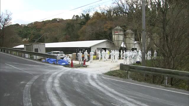 三豊市の養鶏場で発生した鳥インフルエンザ殺処分が終了【香川・三豊市】