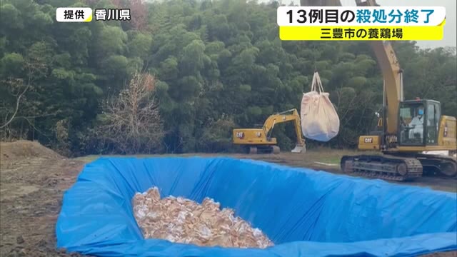 殺処分されたニワトリ約１７９万羽…香川県の養鶏場で発生した鳥インフルエンザ殺処分終了【香川・三豊市】