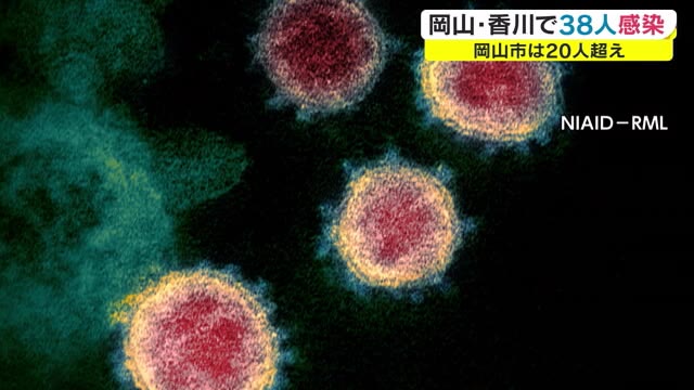 新たに岡山県で３１人、香川県で７人の新型コロナウイルス感染【岡山・香川】