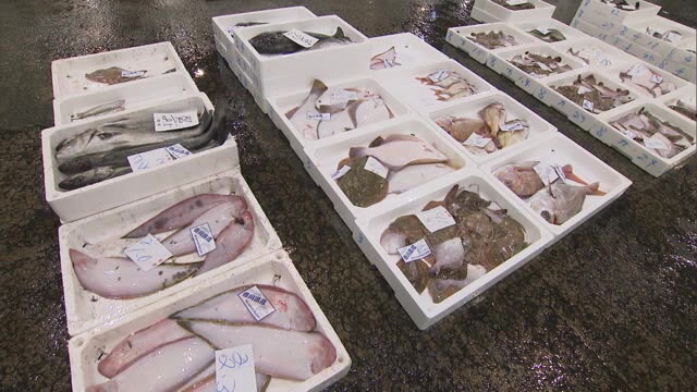「市民の台所」に活気戻る　岡山市中央卸売市場で初市【岡山・岡山市】