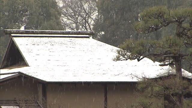 名園もうっすら雪化粧　岡山県南部で雪【岡山・岡山市】