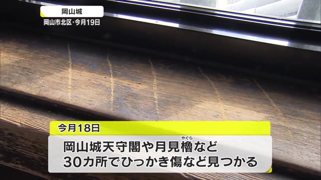 岡山城にひっかき傷　松山城にも同じ名字の傷が見つかる【岡山・岡山市】