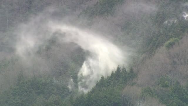 コロナ禍でやってくる花粉症シーズン…傾向は【岡山・香川】
