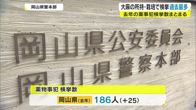 大麻は過去最多…薬物事犯の検挙数まとまる【岡山】