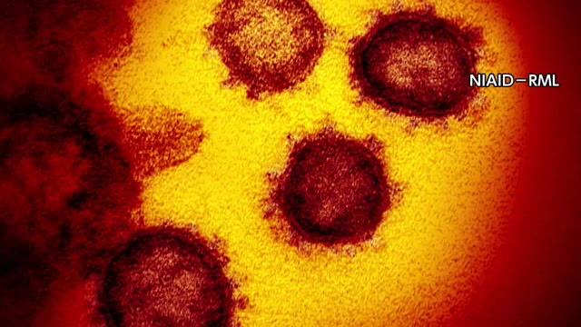 新型コロナウイルス　香川県０人　感染者０は２３日ぶり【香川】