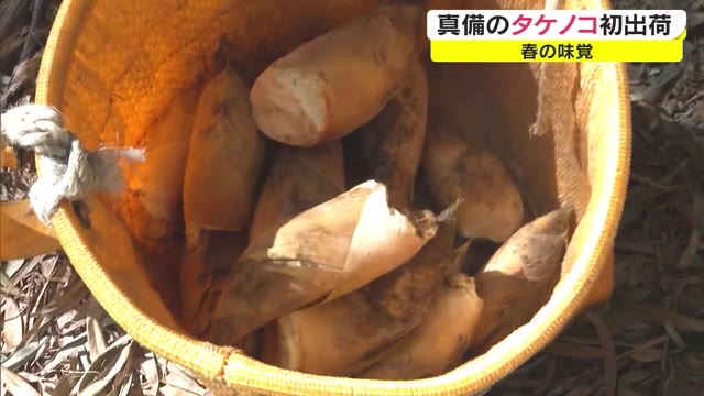 特産のタケノコで真備を思い出して…豪雨被災から２年半　初出荷【岡山・倉敷市真備町】