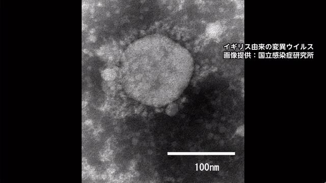 中四国で初 岡山県で２人から変異ウイルス確認　新型コロナ【岡山】
