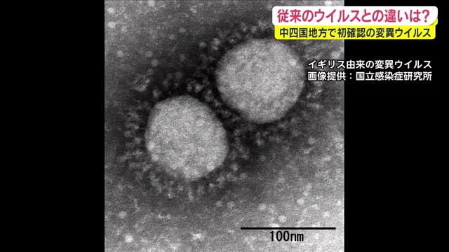 岡山で初確認の変異ウイルス 従来とどう違う？注意ポイントは？【岡山】