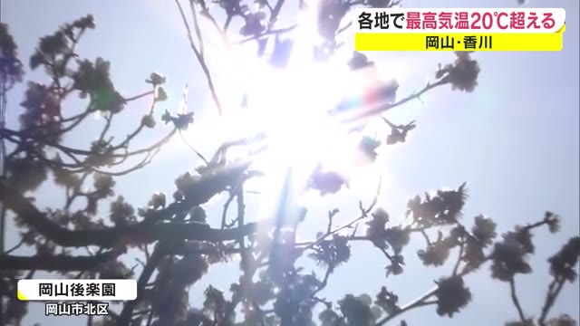 各地で２０℃超え　２月に２日連続は観測史上初【岡山・香川】