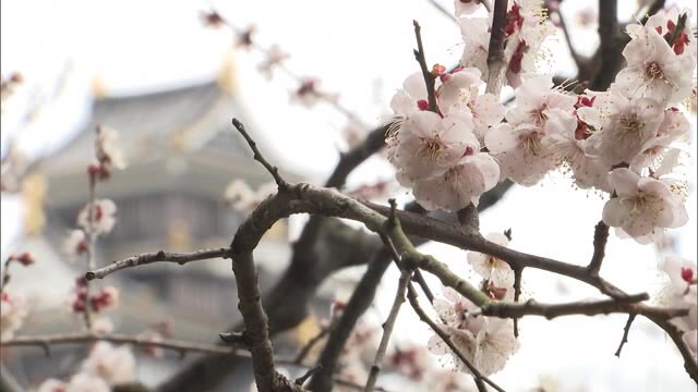 関西など６府県の緊急事態宣言解除から初の週末　岡山の観光地の現状は【岡山・岡山市】