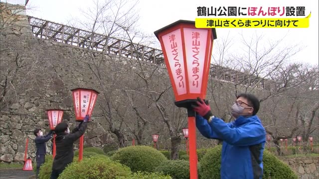 夜桜を照らすぼんぼりでお花見ムードを演出…津山さくらまつり開催に向け着々と準備【岡山・津山市】