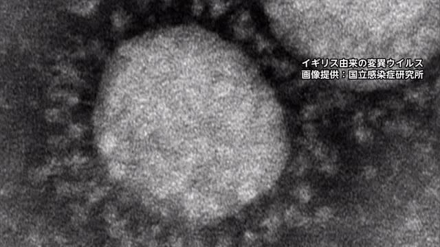 新型コロナウイルス　香川県で３月上旬発症の感染者１人から変異ウイルスを確認　新規感染者はゼロ【香川】