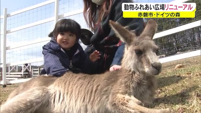 アルパカの赤ちゃんに岡山では珍しいカンガルーも！ドイツの森リニューアル【岡山・赤磐市】