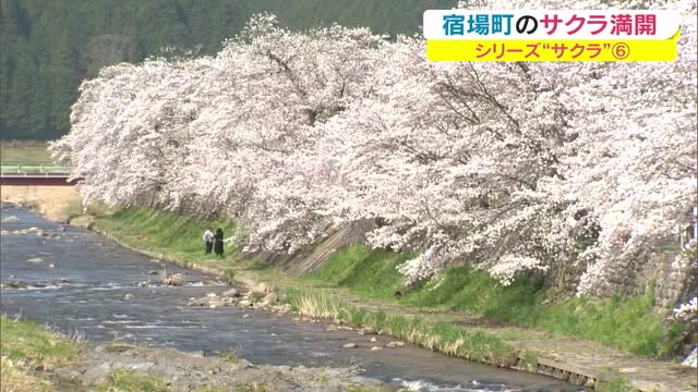 岡山・香川のサクラの名所　風情ある宿場町の絶景「美甘宿場桜」【岡山・真庭市】