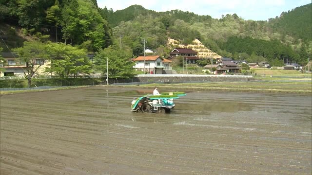 田植えは大型連休にピーク　岡山県北西粟倉村で早場米の田植え始まる【岡山・西粟倉村】