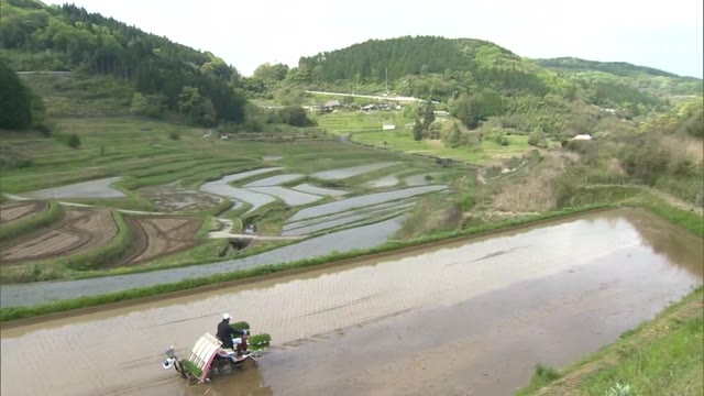 日本の棚田百選　美咲町大垪和地区の傾斜地に広がる棚田で田植え始まる【岡山・美咲町】