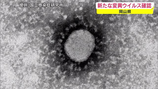 岡山県で新たな変異ウイルス確認　由来国不明　ワクチン効果低下の可能性【岡山】