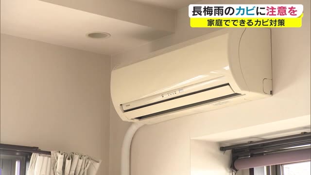 湿気とホコリが好物　長梅雨シーズンはカビに注意！　簡単に出来る予防法とは　【岡山・香川】