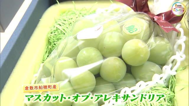 エメラルドグリーンの大粒の実 果物の女王「マスカット・オブ・アレキサンドリア」初入荷【岡山・岡山市】