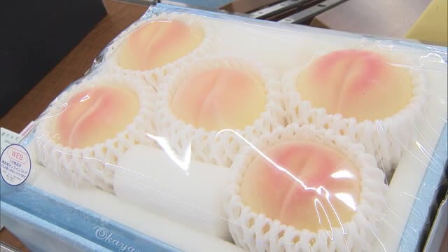オンラインでの購入も…集団接種会場の岡山高島屋　スペースを縮小し中元商戦スタート【岡山・岡山市】