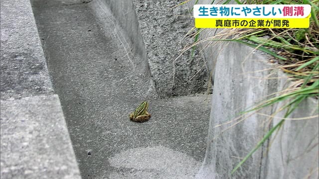 梅雨からカエルを守る！「優しい」コンクリート製品とは？【岡山・真庭市】