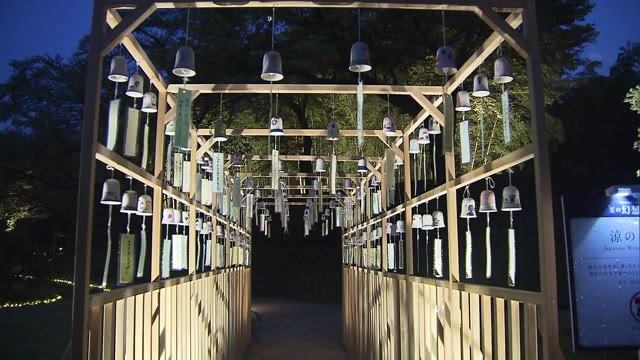 夜の後楽園をライトアップ　「夏の幻想庭園」８月１日から実施へ【岡山・岡山市】