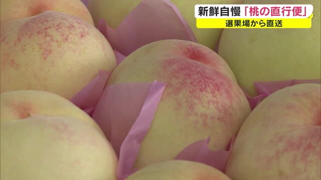 より安く！より新鮮に！「桃の直行便」出陣式　岡山特産の桃を直送【岡山・総社市】