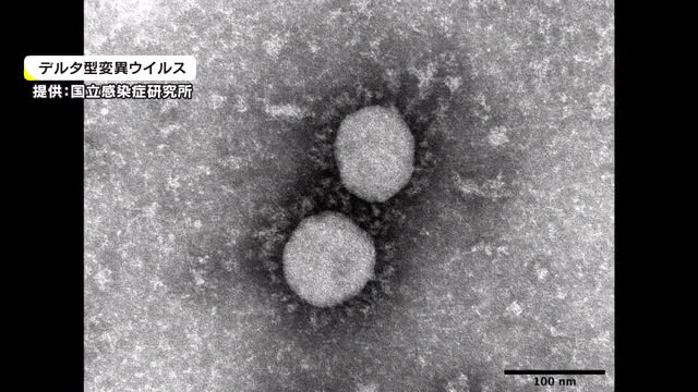 「岡山県デルタ株注意期間」 ８月末まで　ステージ１の判断据え置き　県外との往来は慎重に…【岡山】