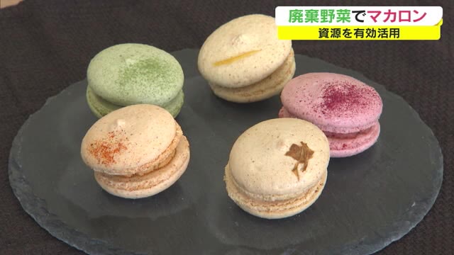 野菜がマカロンに！規格外の春菊や玉ねぎを活用　色鮮やかなスイーツに【岡山・瀬戸内市】