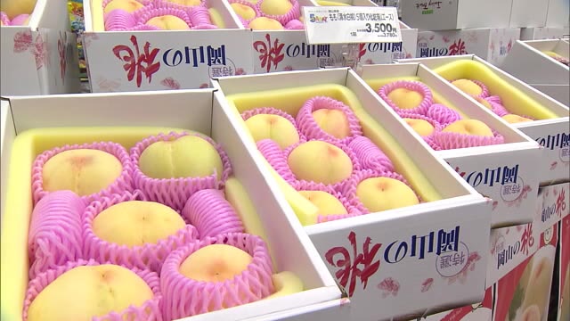 旬を迎えた岡山特産の清水白桃など約６０種類がズラリ　桃フェア開催【岡山・岡山市】