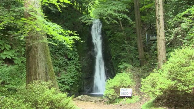 流れ落ちる水しぶきが清涼感を…「横野滝」にぎわう　家族連れらはそうめん流し楽しむ【岡山・津山市】