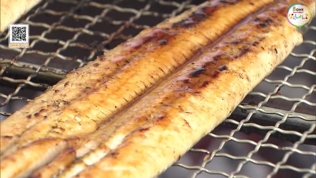 土用の丑の日　店頭でウナギのかば焼き　価格は例年より落ち着いて…【香川・高松市】