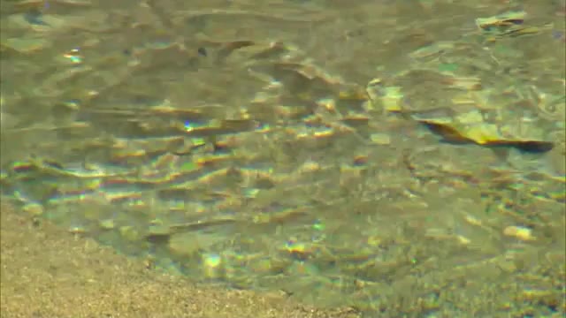 天然水で作ったかき氷も大人気！日本の名水百選「塩釜の冷泉」　岡山県北の納涼スポット【岡山・真庭市】
