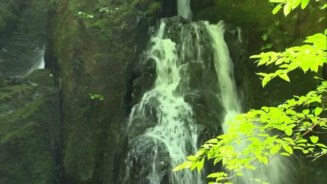 天然のミスト浴で涼しさ満点「山乗渓谷＆不動滝」　家族連れらが夏のひと時を楽しむ【岡山・真庭市】