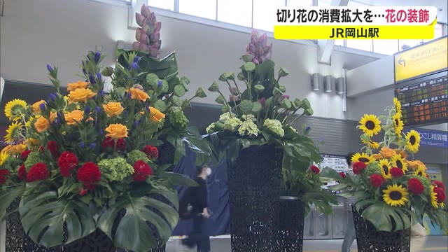 イベントや冠婚葬祭が激減　苦境の花業界が岡山駅でPR　コロナ禍でも彩りを【岡山・岡山市】
