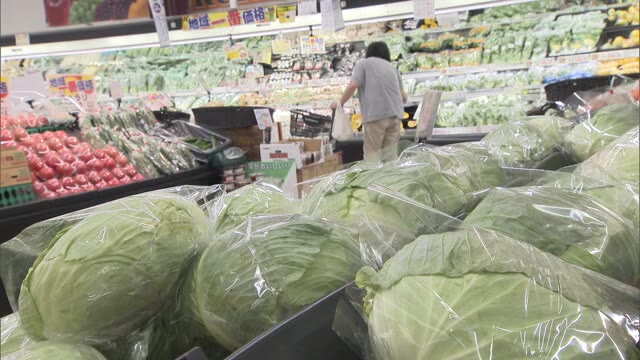 通常価格の２～３倍…「野菜高騰」に悲鳴　記録的な大雨の影響が食卓にも【岡山・岡山市】