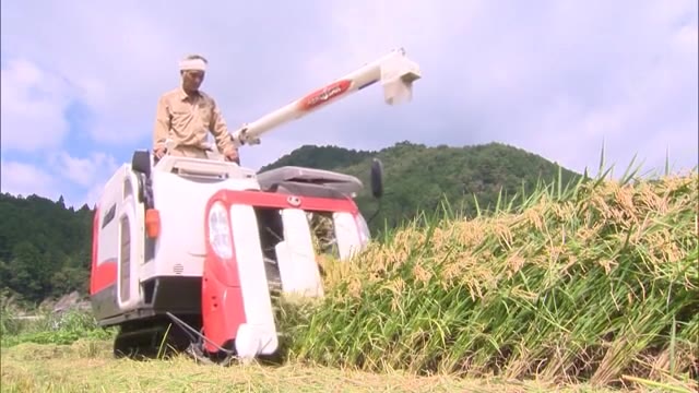 県北で早場米の収穫始まる…清流で育った「アキタコマチ＆コシヒカリ」９月中旬まで【岡山・西粟倉村】