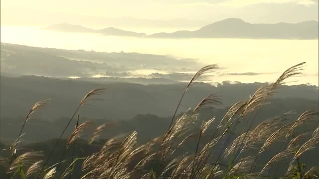 朝日と共に自然の神秘現る　蒜山は秋の気配　雲海シーズン到来【岡山・真庭市】