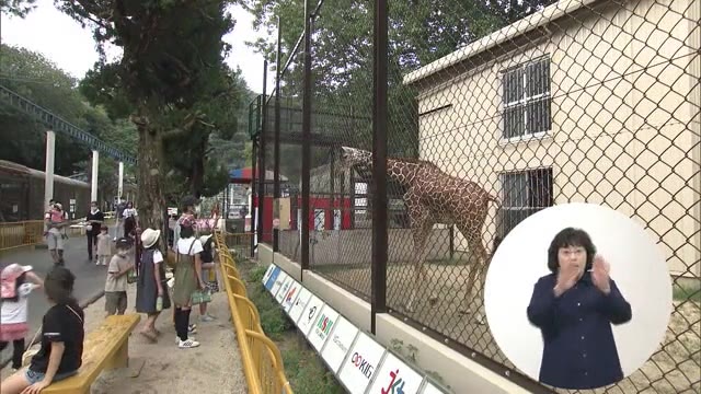 キリンと同じ目線でエサをあげて…「サンタロウ」専用の足場寄贈　池田動物園　【岡山・岡山市】
