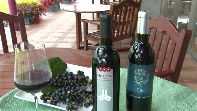 西日本唯一“ヤマブドウ”を使った「赤ワイン」　岡山県北のワイナリーで仕込み始まる【岡山・真庭市】