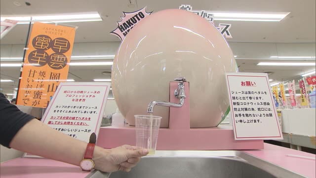 県内19市町村から特産品が一堂に…「岡山フェア」　新型コロナの影響受けた生産者を応援【岡山・岡山市】