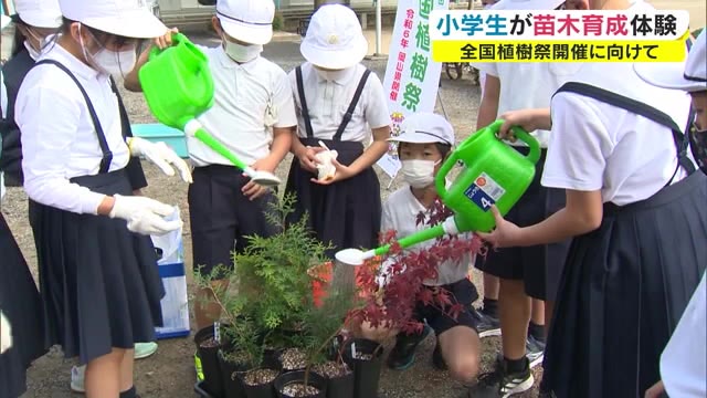 立派な木に生長して…児童がヒノキなどの苗木を植える　２４年開催「全国植樹祭」に向け【岡山・津山市】