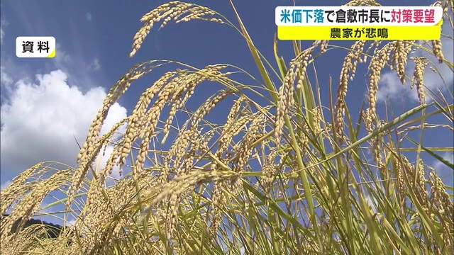過去最大の下げ幅…コメの価格が“大幅下落”　早急な対策を要望【岡山・倉敷市】