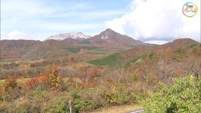 【紅葉シリーズ】展望台から３６０度…錦に染まる紅葉　鬼女台【岡山・真庭市】