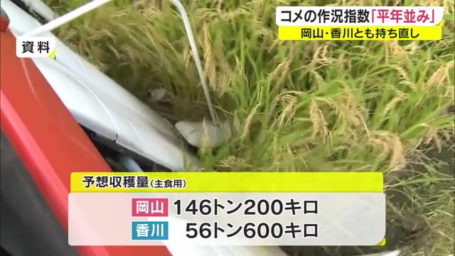 【コメの作況指数】岡山９９・香川１０１と「平年並み」…天候に恵まれ生育が進んだと分析【岡山・香川】