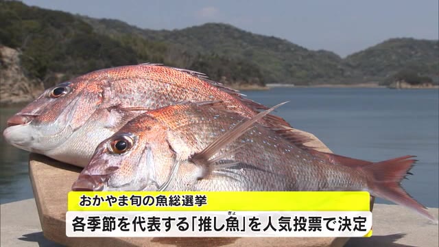 春はサワラ　冬は〇〇？“推し魚”を選ぶ「おかやま旬の魚総選挙」結果発表！【岡山】