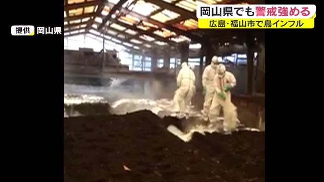 広島県福山市で鳥インフル発生　井原市にある系列の養鶏場を消毒　卵の出荷も停止【岡山】